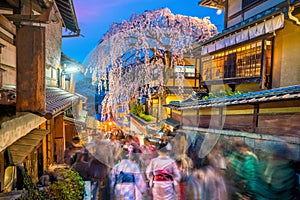 Tourists at old town Kyoto, the Higashiyama District during sakura season