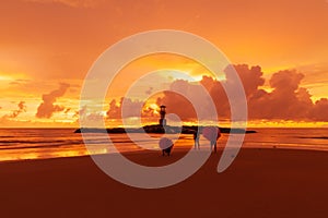 Tourists open umbrellas to watch Beautiful scenery at sunset