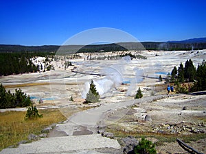 Tourists on pathway in Norris Geyser Basin