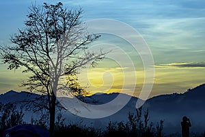 Tourists photograph the sunrise behind the mountains and the tree