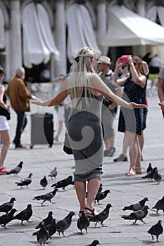 Tourists and pigeons in Venice, Italy