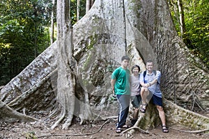 Tourists posing with big trunk tualang tree with huge roots at Taman Negara National Park, Pahang