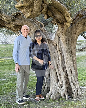 Tourists posing by an old olive tree in the Fortress of the Lion in Castiglione del Lago, Italy.