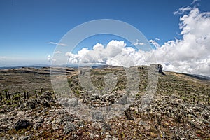 Tourists reach the summit of Mount Elgon run by Uganda Wildlife Authority.