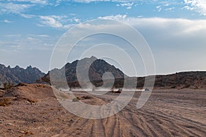 Tourists ride quad bikes in the desert