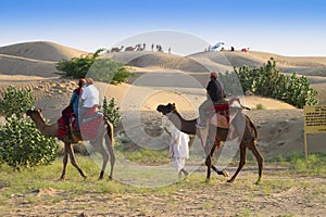 Tourists riding camels, Camelus dromedarius, at sand dunes of Thar desert. Camel riding is a favourite activity amongst all