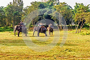 Tourists riding on Elephants, Chitwan National Park, Nepal