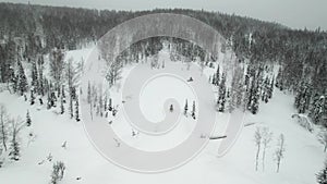 Tourists rushing on snowmobiles through the forest