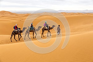 Tourists on safari, Morocco