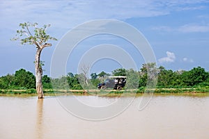 Tourists in safari vehicle in national nature park Udawalave