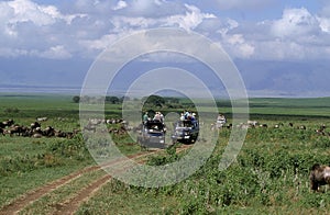 Tourists in Safari Vehicule, Tanzania