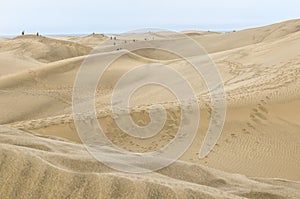 Tourists and sand dunes at Maspalomas on Gran Canaria.