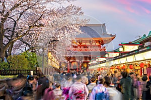 Tourists at shopping street in Asakusa connect to Sensoji Temple, Tokyo Japan with sakura trees