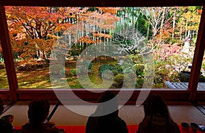 Tourists sit on the tatami floor of a tea room & enjoy the beautiful view of a Japanese courtyard garden