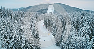 Tourists ski on snowy mountain forest on winter holidays in Carpathians in Bukovel, Ukraine