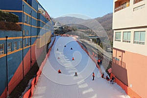 Tourists sliding downhill on snowboards