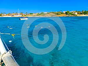 Tourists snorkeling along the coastline and enjoy the tropical island of Aruba
