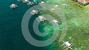 Tourists snorkeling in coral reef, Moalboal, Philippines