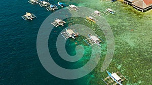 Tourists snorkeling in coral reef, Moalboal, Philippines