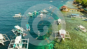 Tourists snorkeling in coral reef, Moalboal, Philippines