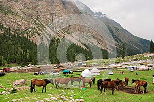 Tourists stop for a picnic near the grazing horses in a mountain valley of Central Asia