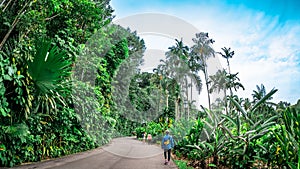 Tourists strolling along the path way at Singapore Botanic Gardens.
