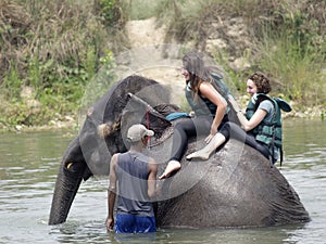 Tourists taking Elephant bath
