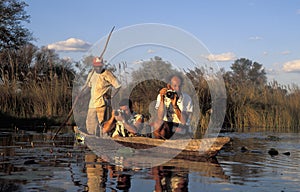 Tourists taking photos from an African canoe, Okavango Delta, Bo