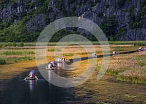 Tourists travelling by bamboo boats on a lagoon inside Van Long Natural Preserve