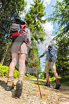 Tourists with trekking poles from behind