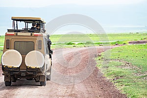 Tourists from utility vehicle jeep look the wild animals in wildlife on jeep safari