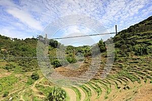 The tourists visit the neat terraces under two bridges, adobe rgb