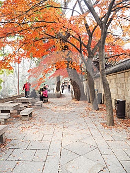 Tourists visiting the Taiqing gong or Temple of Supreme Purity