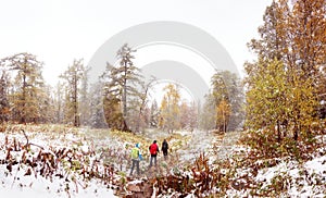 Tourists walk in the woods