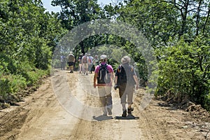 Tourists walk through the woods