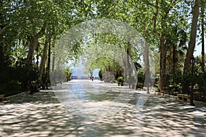 Tourists walking on the alameda del tajo boulevard in ronda spain photo