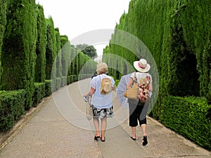 Tourists Walking - Alhambra Entrance photo