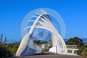 Picturesque landscape Taranaki volcano and Te Rewa Rewa bridge