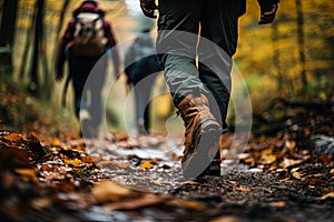 Tourists walks along the path of the autumn forest.