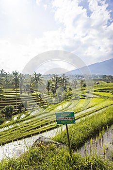 Tourists warning sign at rice fields of Jatiluwih in southeast Bali