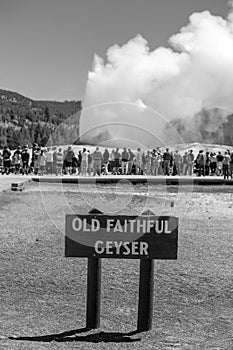 Tourists watching the Old Faithful erupting in Yellowstone National Park