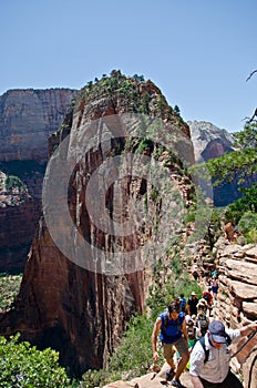 Tourists in Zion national park