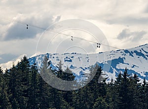 Tourists in zip line harnesses zoom down the mountain at Icy Strait Point