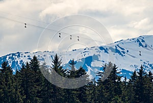 Tourists in zip line harnesses zoom down the mountain at Icy Strait Point