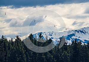 Tourists in zip line harnesses zoom down the mountain at Icy Strait Point