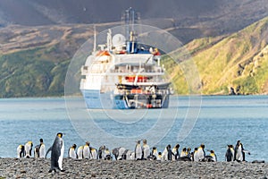 Tourists in zodiacs of an Antarctic expedition ship disembarking in Fortuna Bay on South Georgia, king penguins in the foreground.