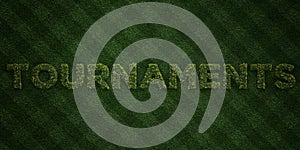 TOURNAMENTS - fresh Grass letters with flowers and dandelions - 3D rendered royalty free stock image