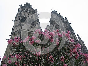 Tours Cathedral with flowers