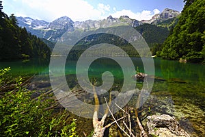 Tovel lake, italian alps