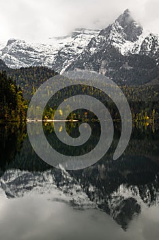 Tovel Lake on Italian Alps. Landscape around Tovel Lake, Italy